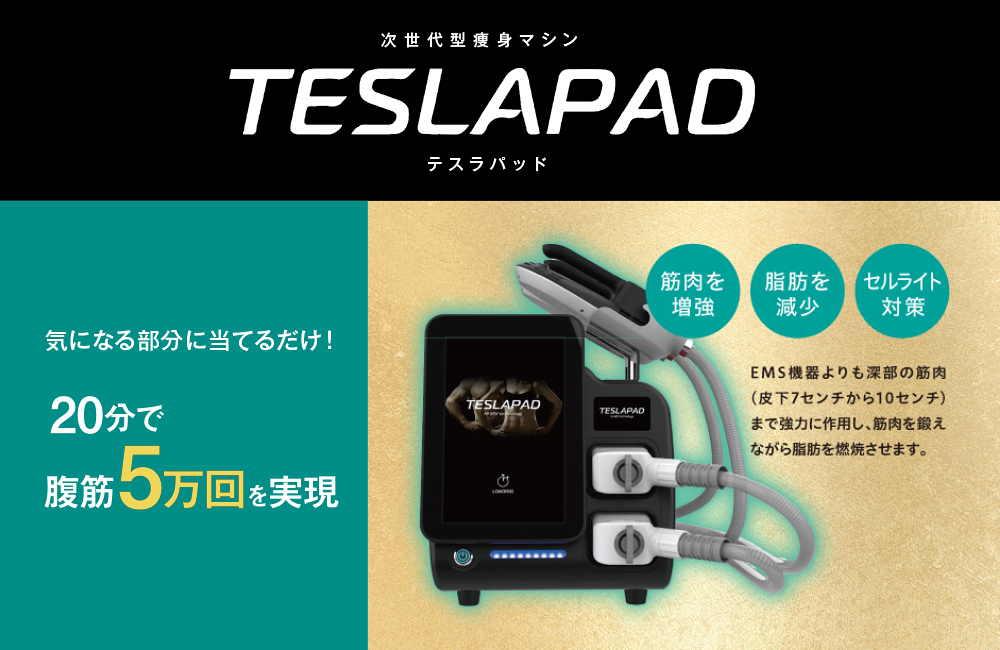 次世代型痩身マシン　TESLAPAD